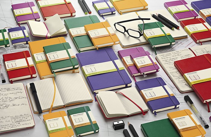 moleskine_550